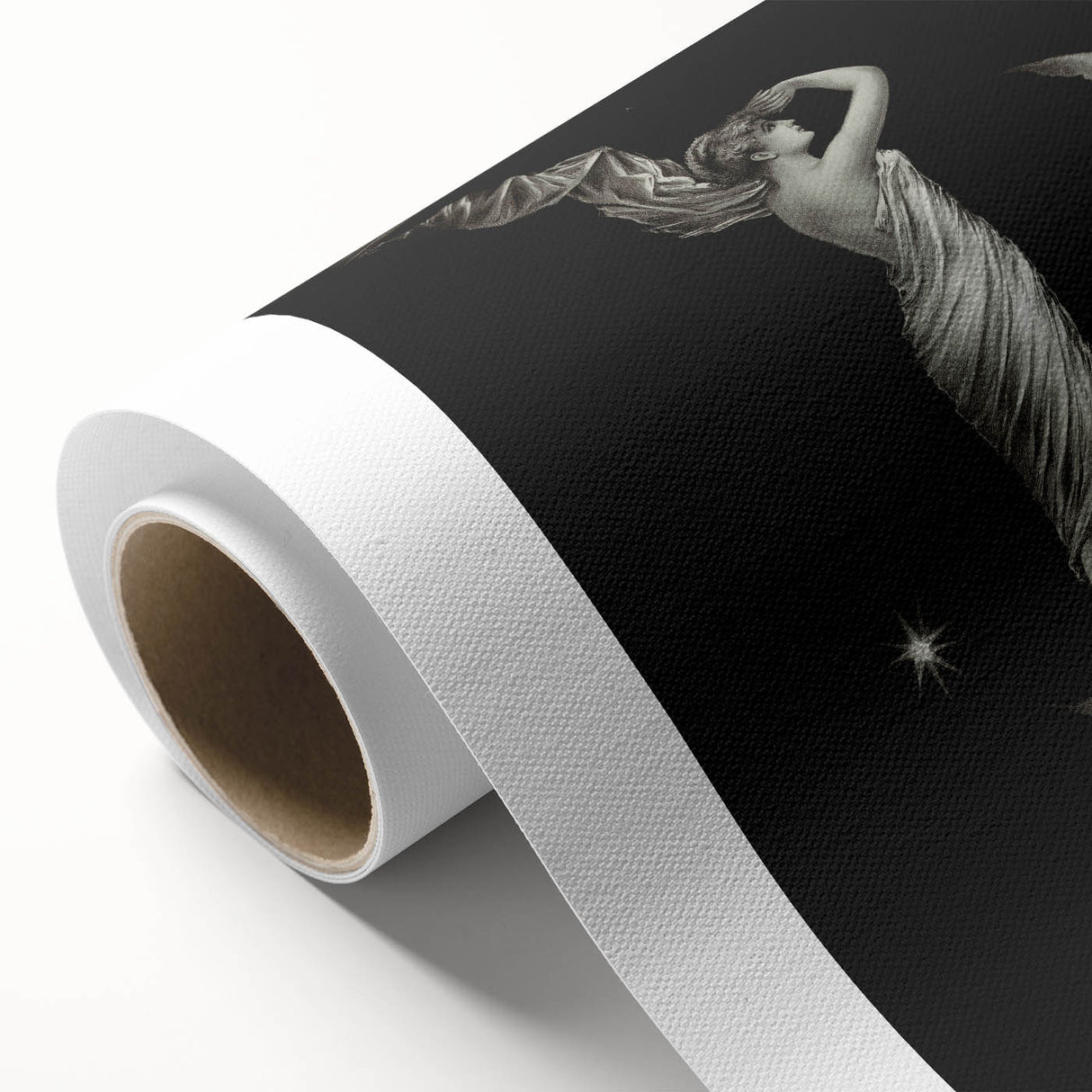 Dark Academia Wall Art | Vintage Gothic Moon Lady | Shadowy Art Piece