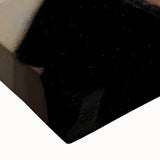 Dark Academia Wall Art: Woman with Raven in Silence, Gothic Print