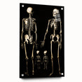 Dark Academia Wall Art: Skeleton Family in Shadows, Gothic Print
