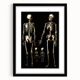 Dark Academia Wall Art: Skeleton Family in Shadows, Gothic Print