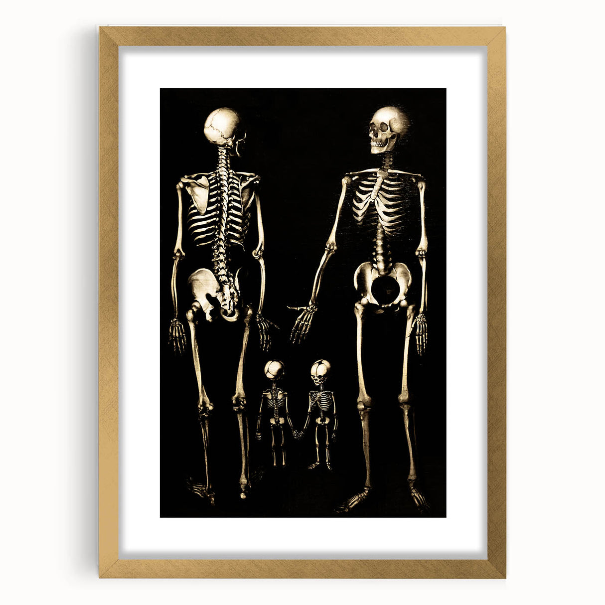 Dark Academia Wall Art: Skeleton Family in Shadows, Gothic Print