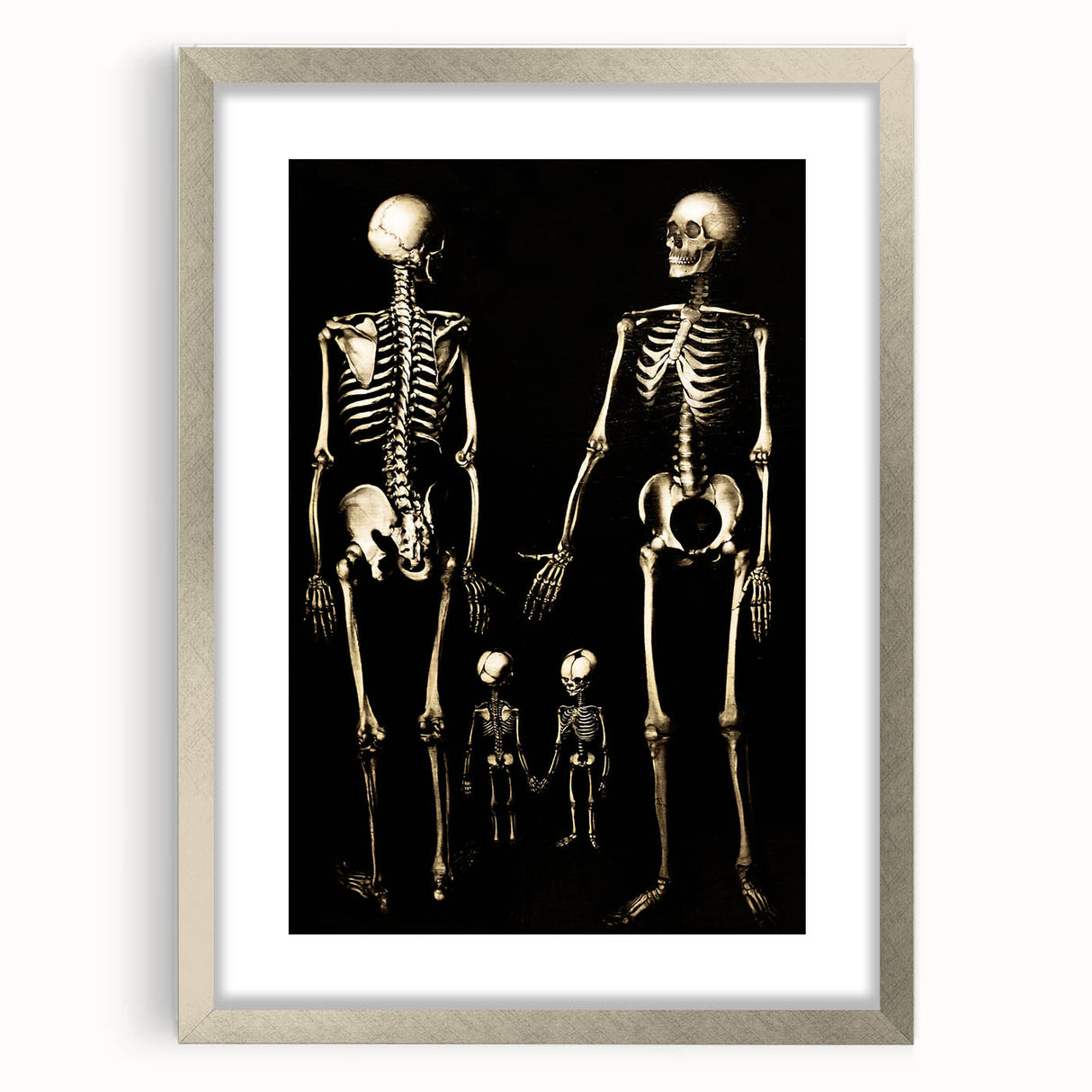 Dark Academia Wall Art: Skeleton Family in Shadows, Gothic Print