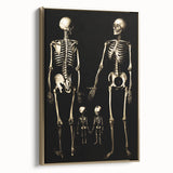 Dark Academia Wall Art: Skeleton Family in Shadows, Gothic Print