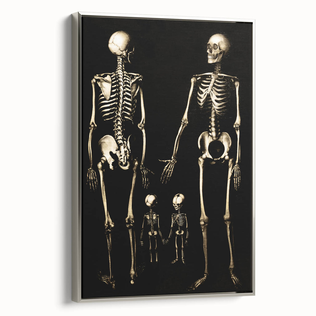 Dark Academia Wall Art: Skeleton Family in Shadows, Gothic Print