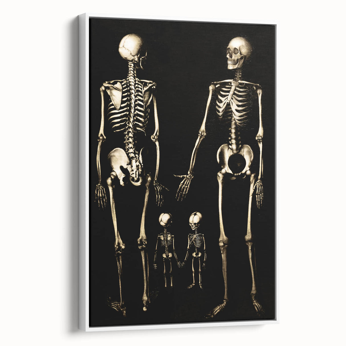 Dark Academia Wall Art: Skeleton Family in Shadows, Gothic Print