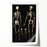 Dark Academia Wall Art: Skeleton Family in Shadows, Gothic Print