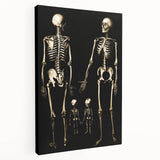 Dark Academia Wall Art: Skeleton Family in Shadows, Gothic Print