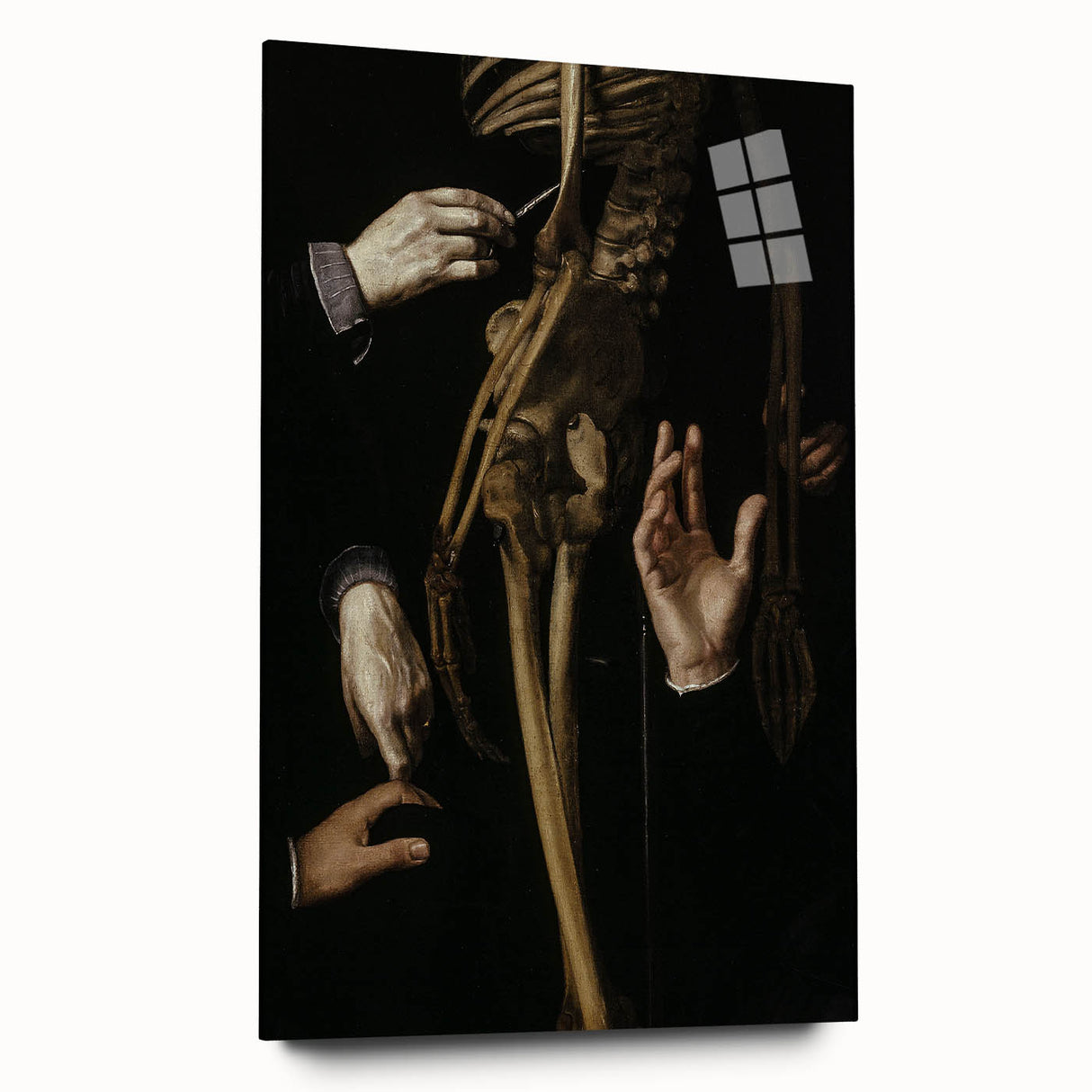 Dark Academia Wall Art - Gothic Anatomical Study for Moody Decor