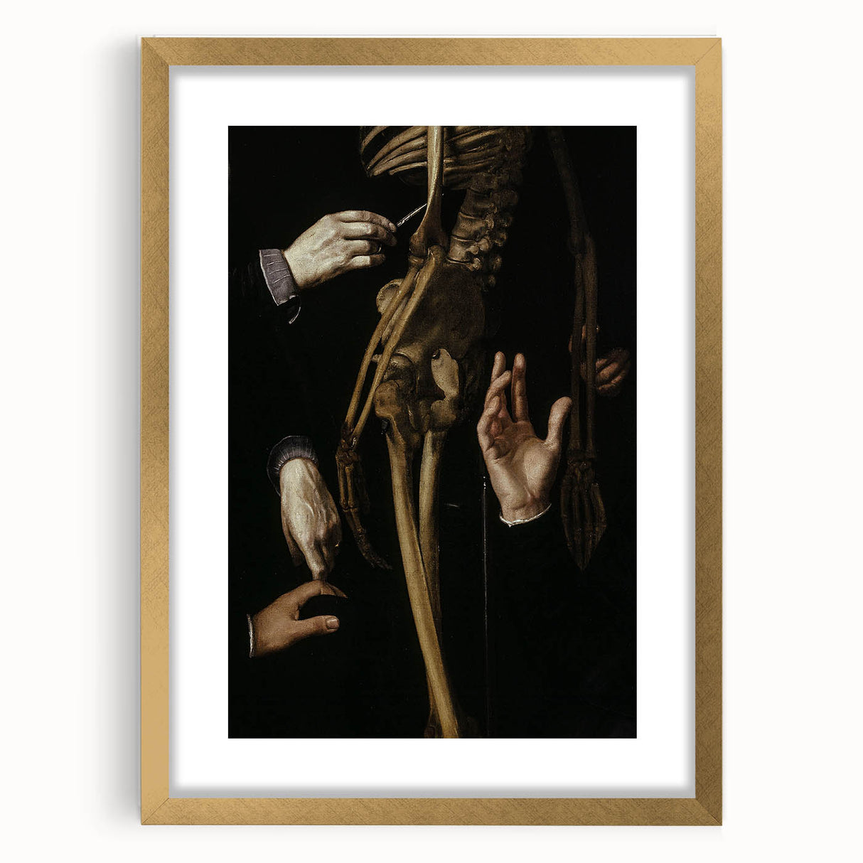 Dark Academia Wall Art - Gothic Anatomical Study for Moody Decor