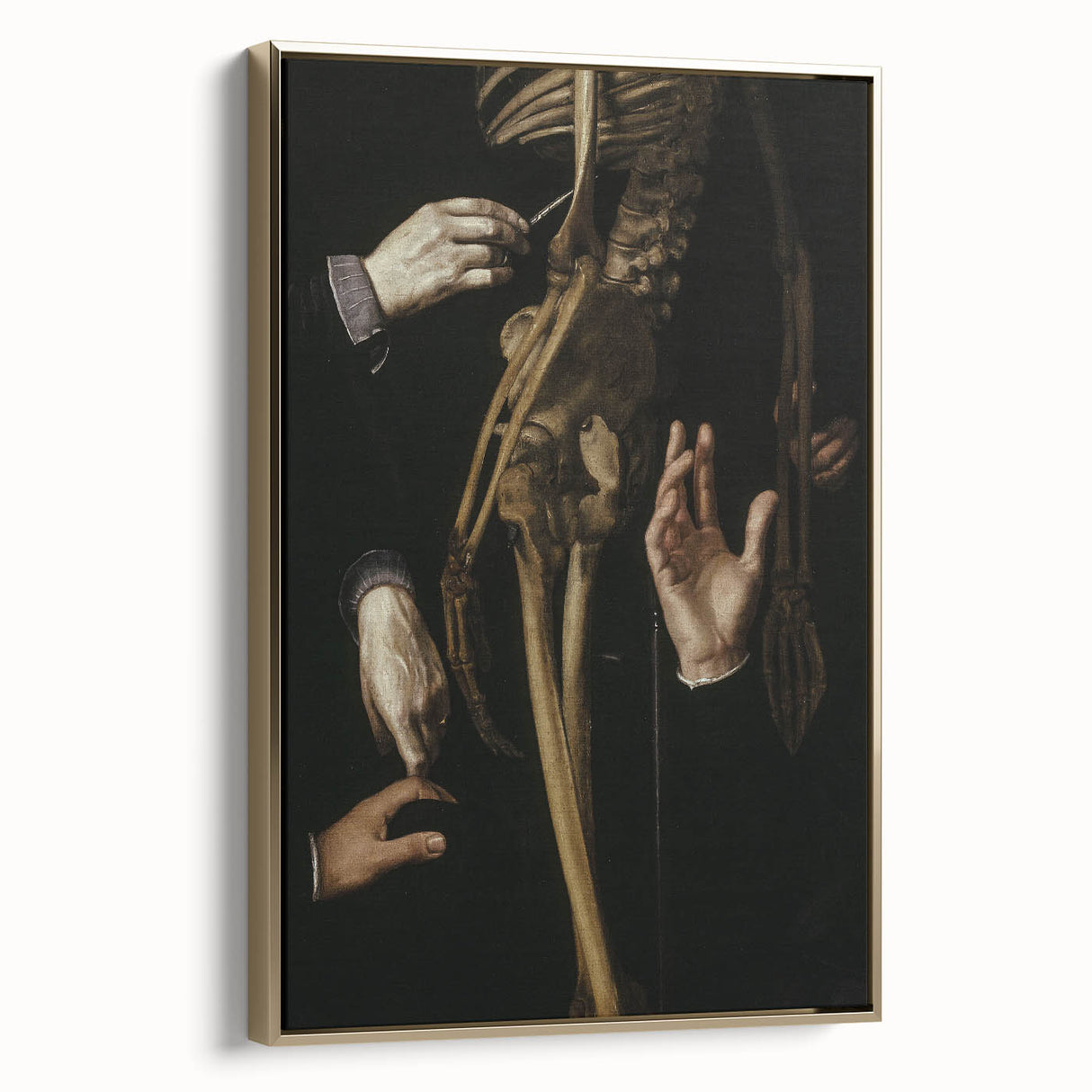 Dark Academia Wall Art - Gothic Anatomical Study for Moody Decor