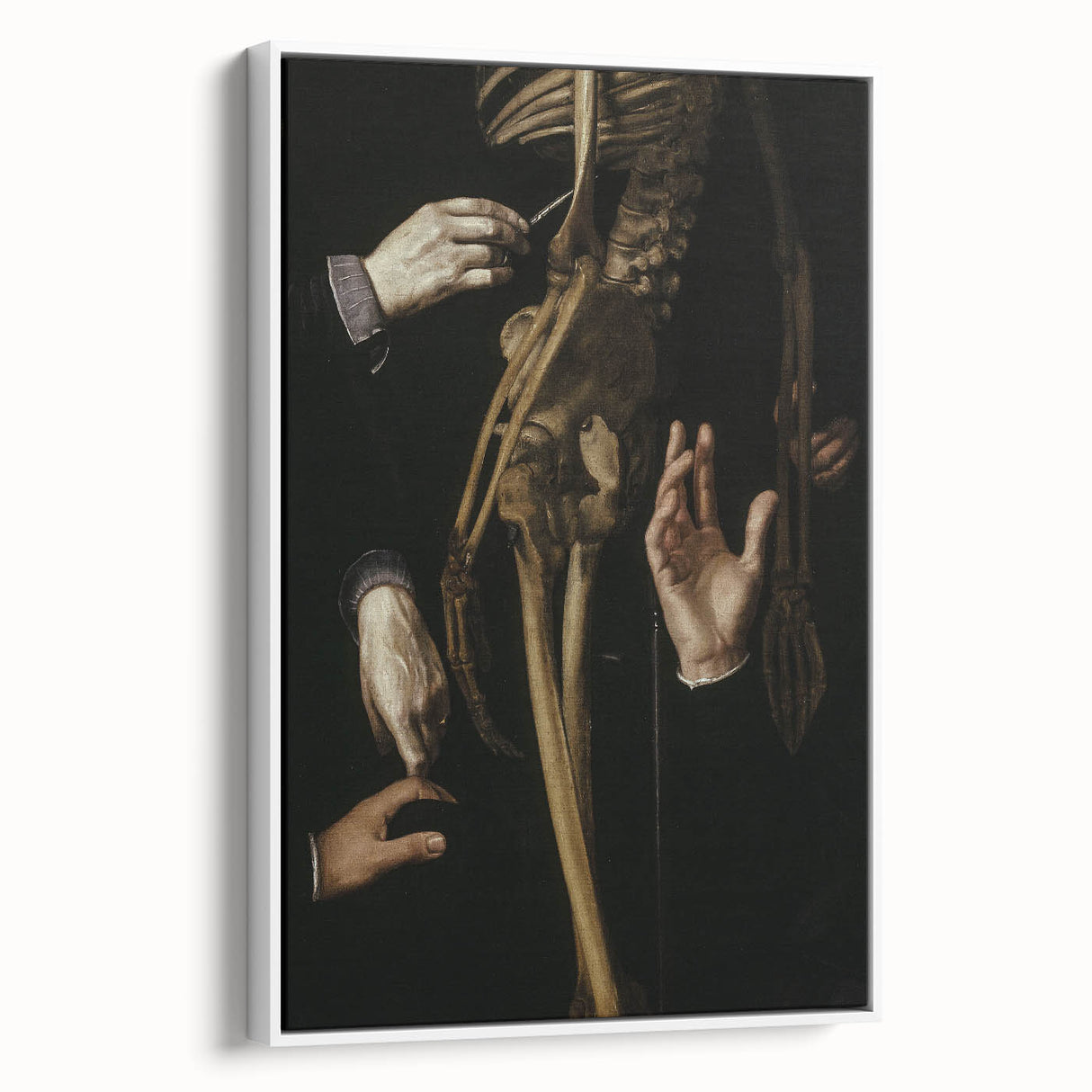 Dark Academia Wall Art - Gothic Anatomical Study for Moody Decor
