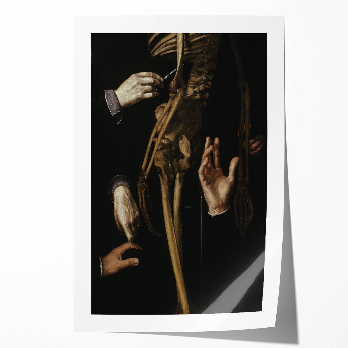 Dark Academia Wall Art - Gothic Anatomical Study for Moody Decor