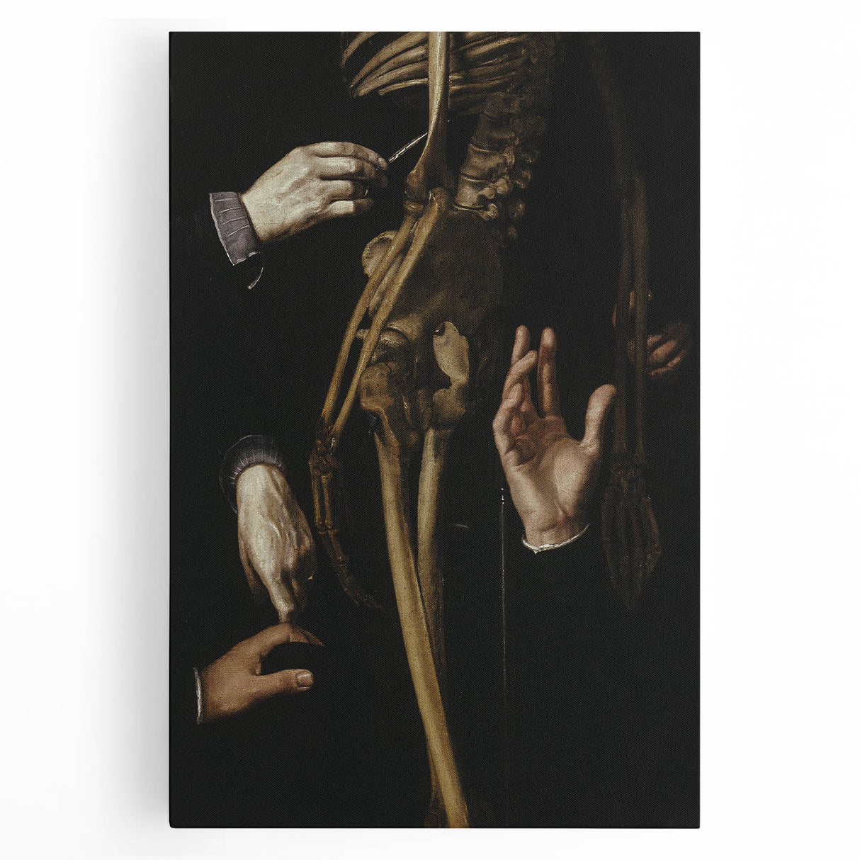 Dark Academia Wall Art - Gothic Anatomical Study for Moody Decor