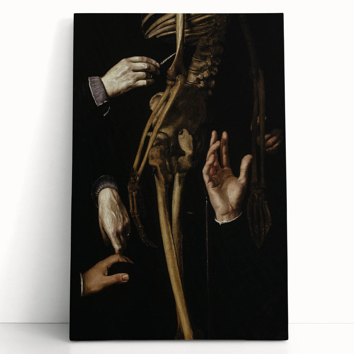 Dark Academia Wall Art - Gothic Anatomical Study for Moody Decor