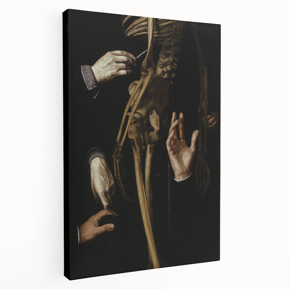 Dark Academia Wall Art - Gothic Anatomical Study for Moody Decor