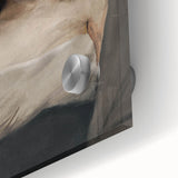 Portrait of Woman with Downcast Eyes – Dark Academia Wall Art, Moody Decor