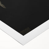 Dark Academia Wall Art - Gothic Lady in Black Veil - Moody Decor Print