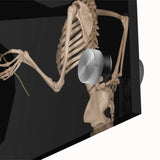 Dark Academia Wall Art – Skeletons with White Rose in Gothic Scene