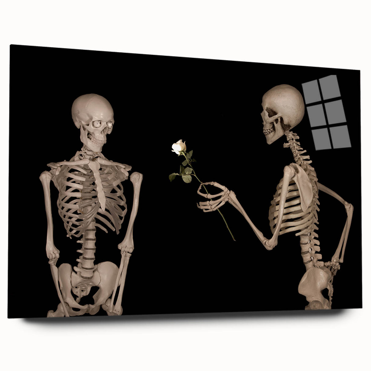 Dark Academia Wall Art – Skeletons with White Rose in Gothic Scene