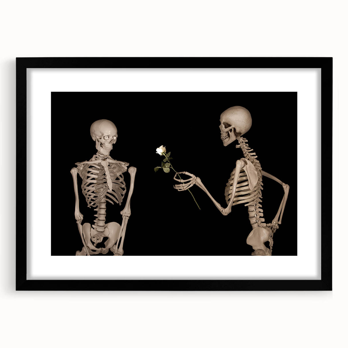 Dark Academia Wall Art – Skeletons with White Rose in Gothic Scene