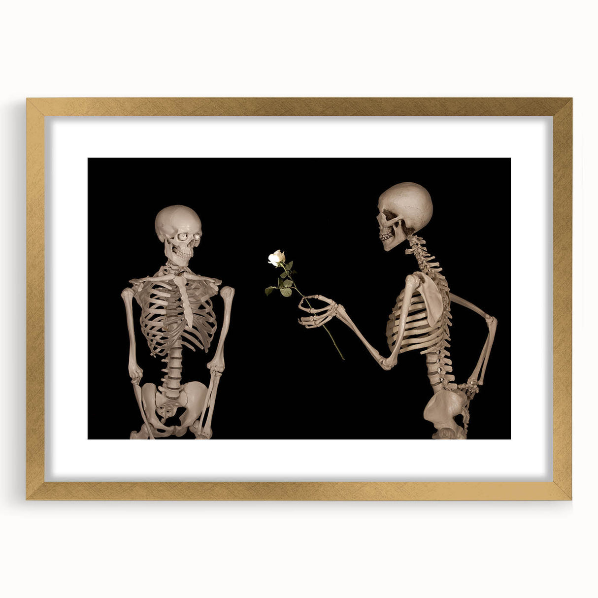 Dark Academia Wall Art – Skeletons with White Rose in Gothic Scene
