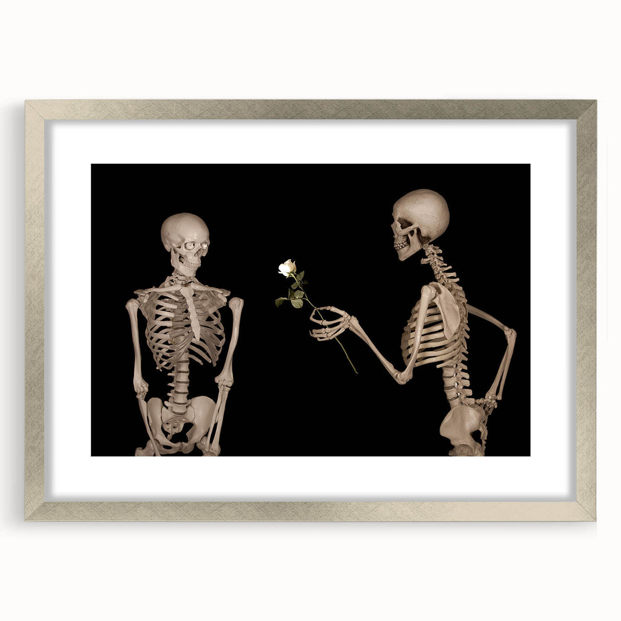 Dark Academia Wall Art – Skeletons with White Rose in Gothic Scene