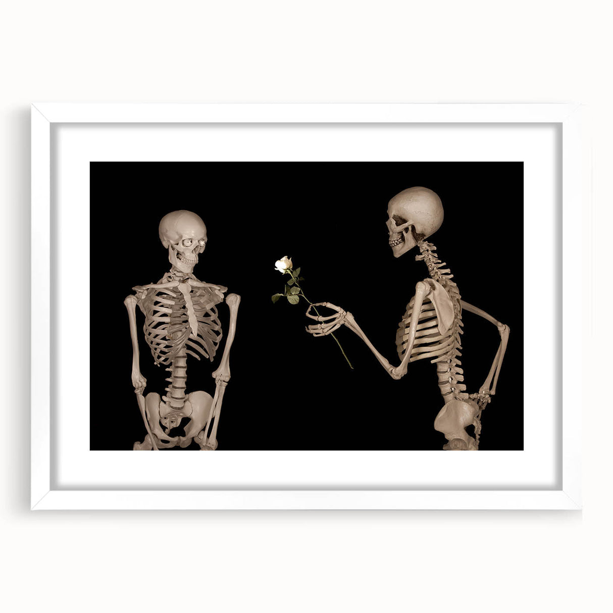 Dark Academia Wall Art – Skeletons with White Rose in Gothic Scene