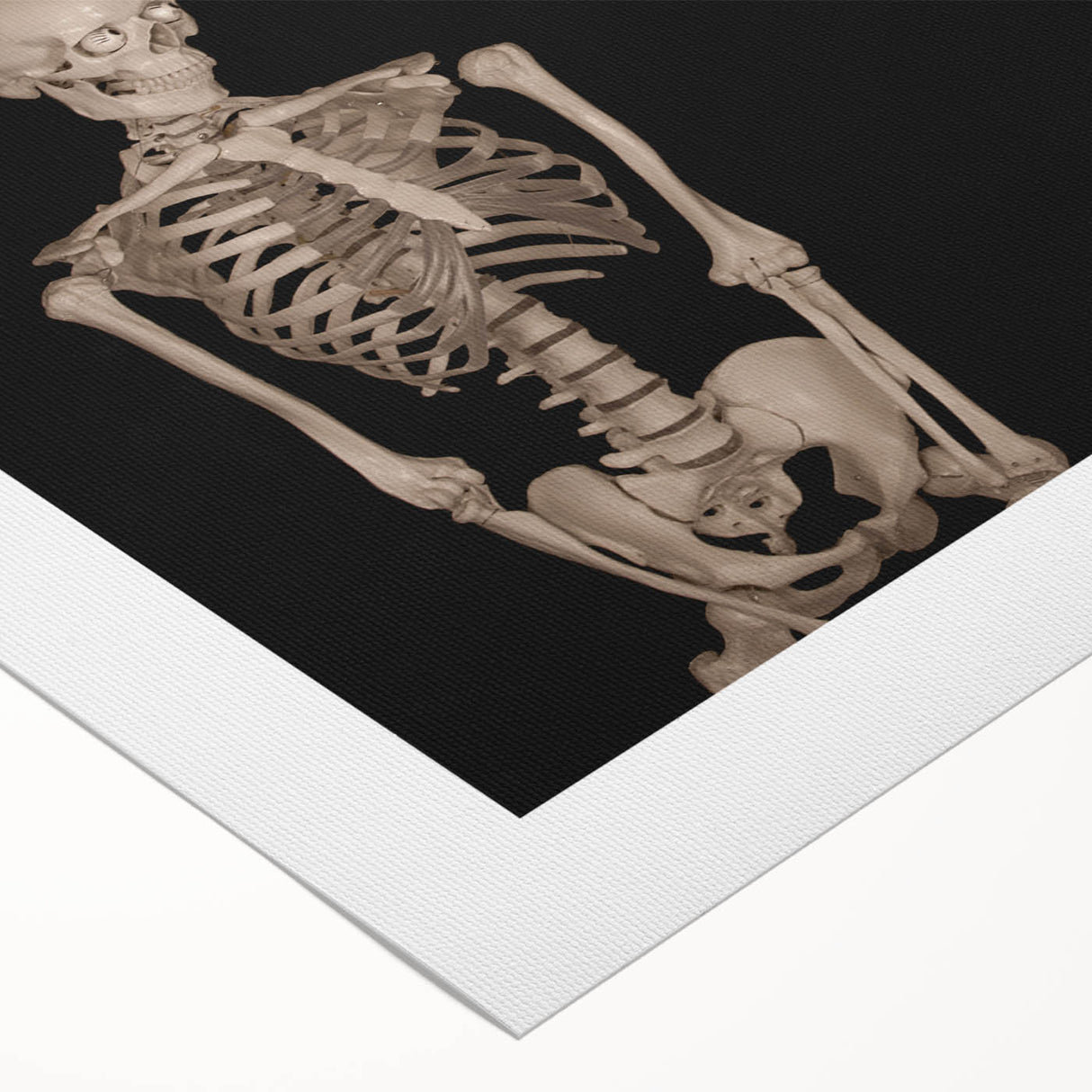 Dark Academia Wall Art – Skeletons with White Rose in Gothic Scene