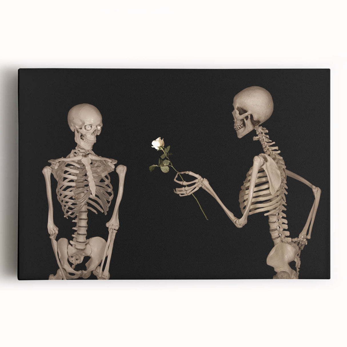 Dark Academia Wall Art – Skeletons with White Rose in Gothic Scene