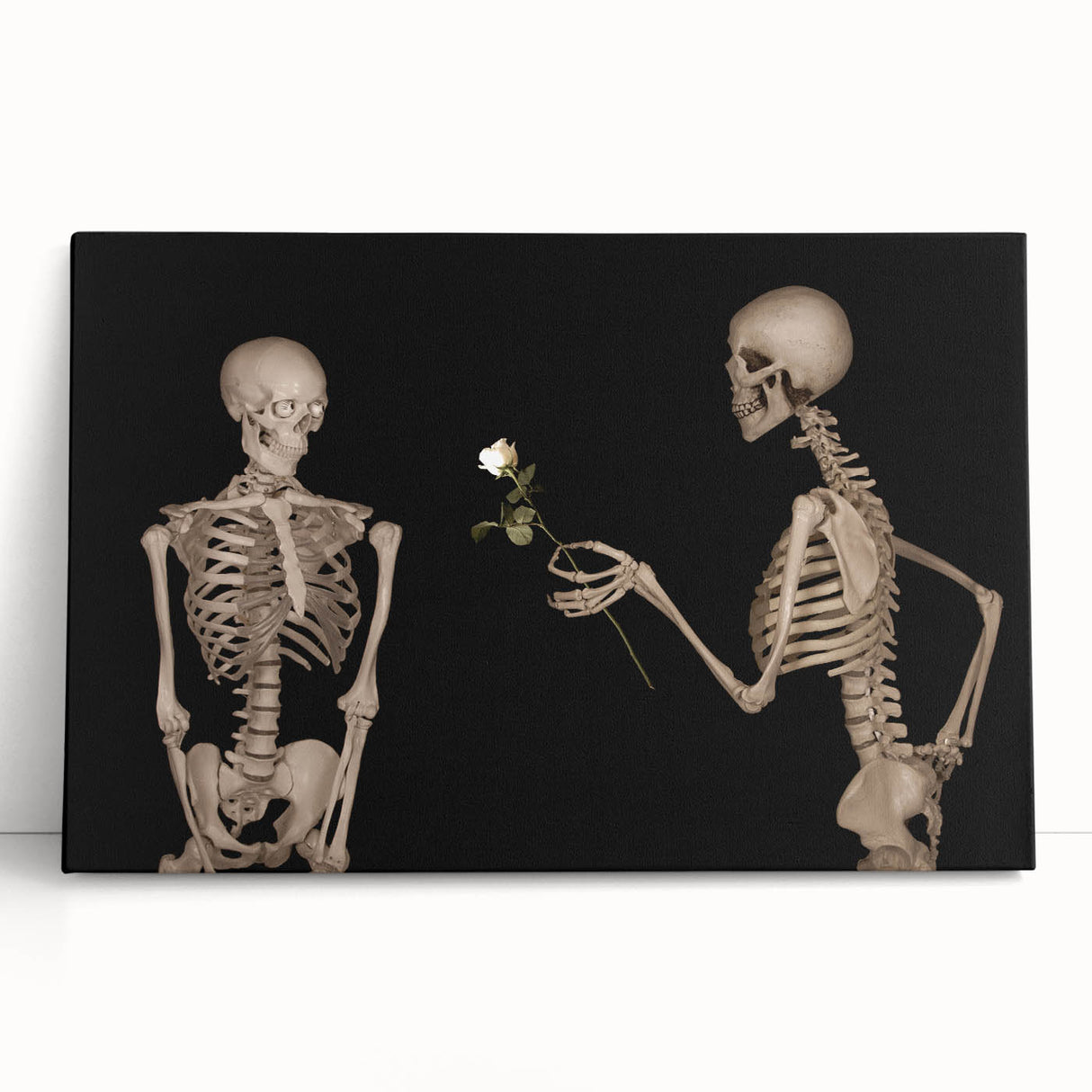 Dark Academia Wall Art – Skeletons with White Rose in Gothic Scene
