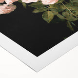 Dark Moody Wall Art - Soft Pink Roses for Elegant Floral Home Decor