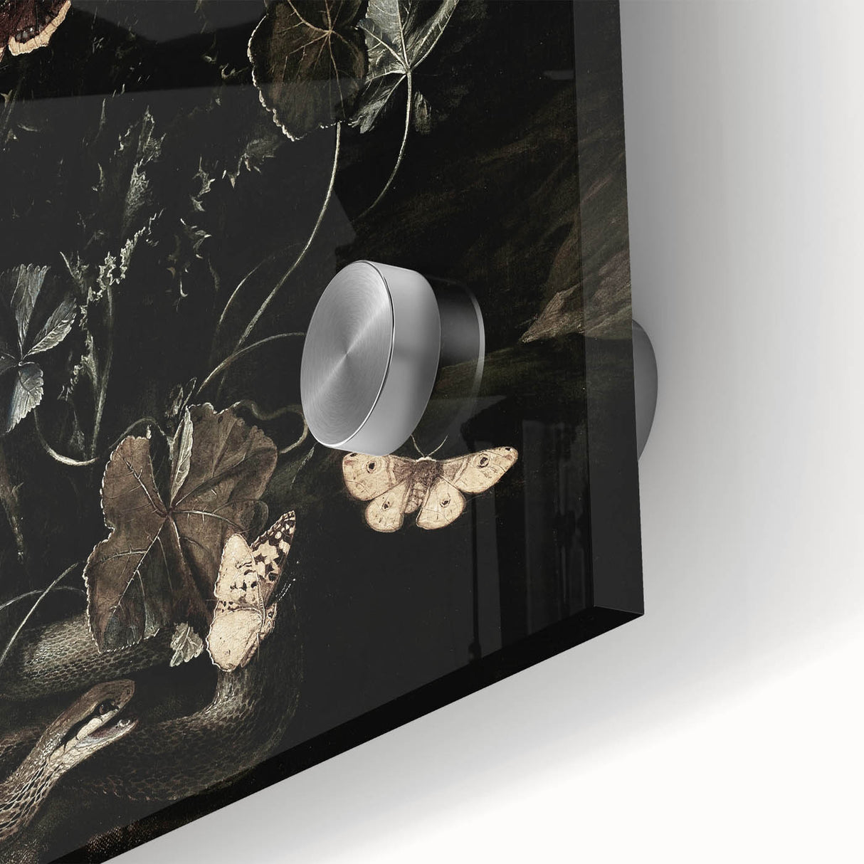 Dark Moody Wall Art - Botanical Elegance with Flowers, Butterflies & Reptiles