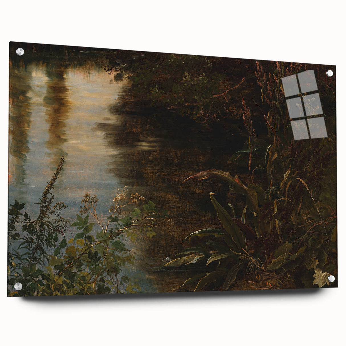 Dark Moody Wall Art | Reflections on Water with Lush Foliage | Nature Art