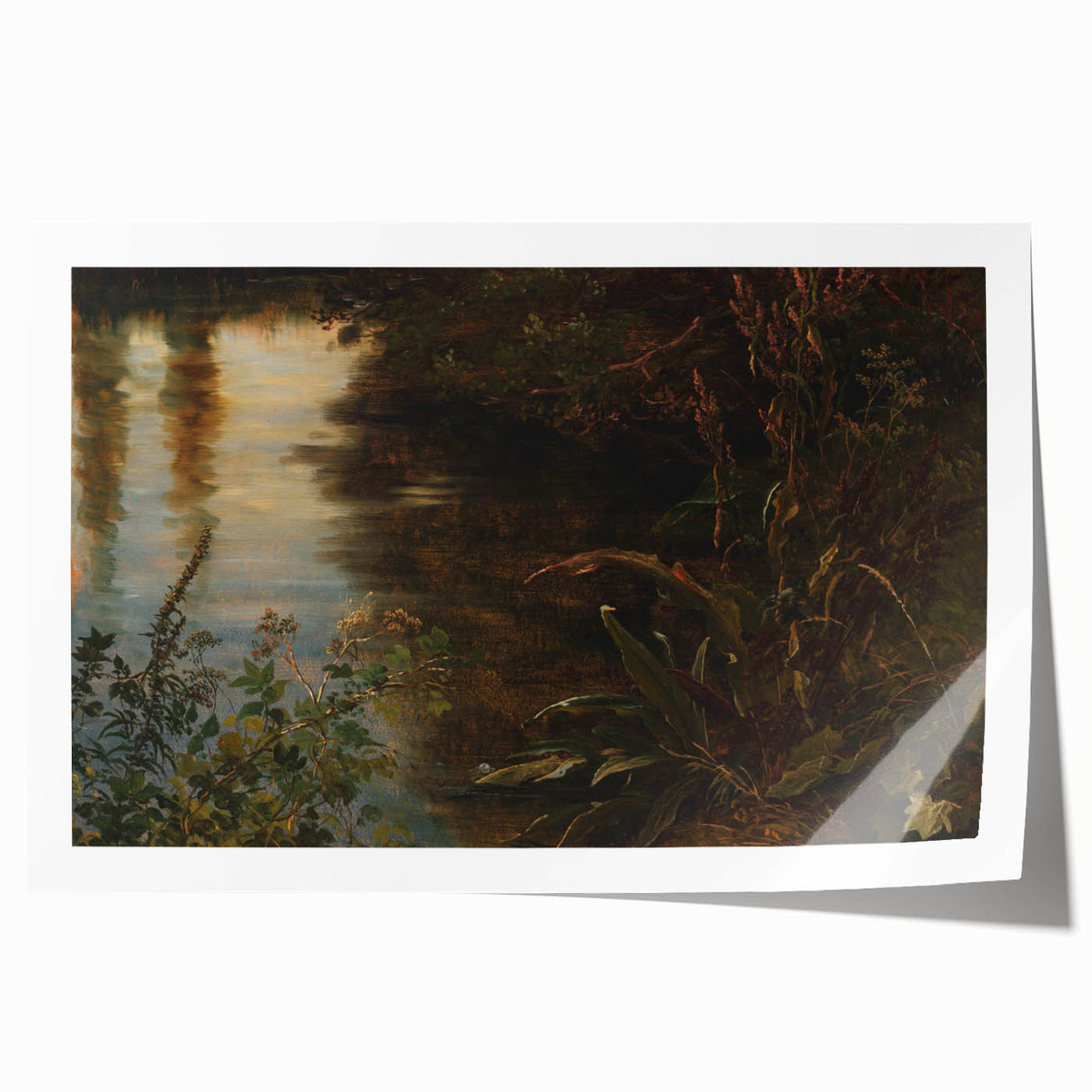 Dark Moody Wall Art | Reflections on Water with Lush Foliage | Nature Art