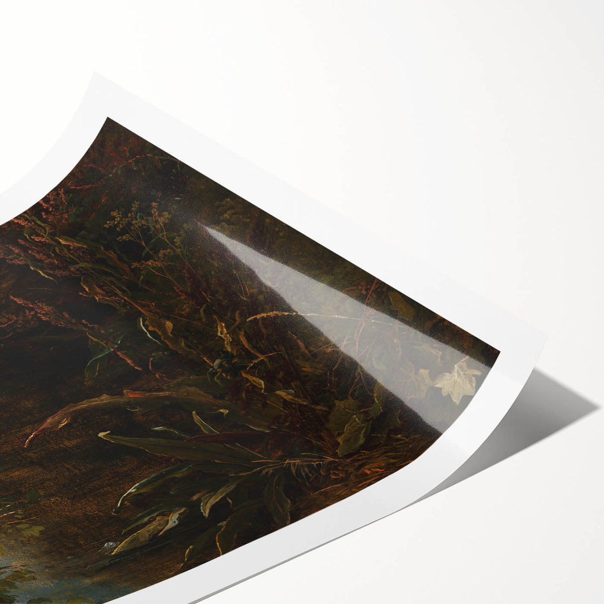 Dark Moody Wall Art | Reflections on Water with Lush Foliage | Nature Art