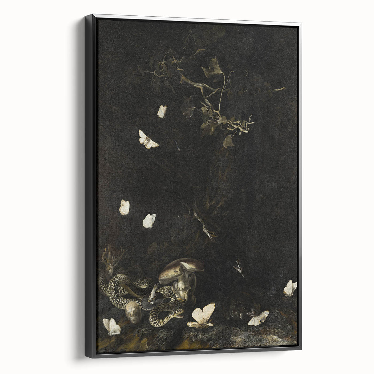 Dark Moody Wall Art with Snakes and Moths | Dramatic Moody Art Prints