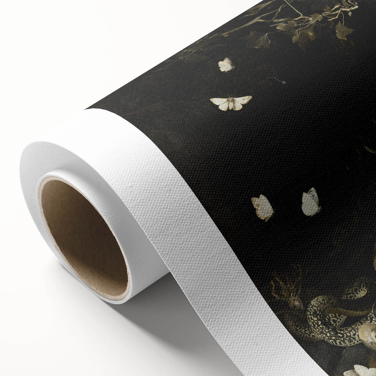Dark Moody Wall Art with Snakes and Moths | Dramatic Moody Art Prints