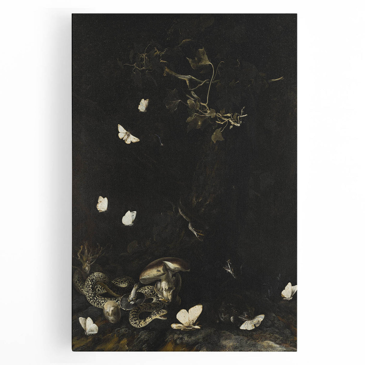 Dark Moody Wall Art with Snakes and Moths | Dramatic Moody Art Prints