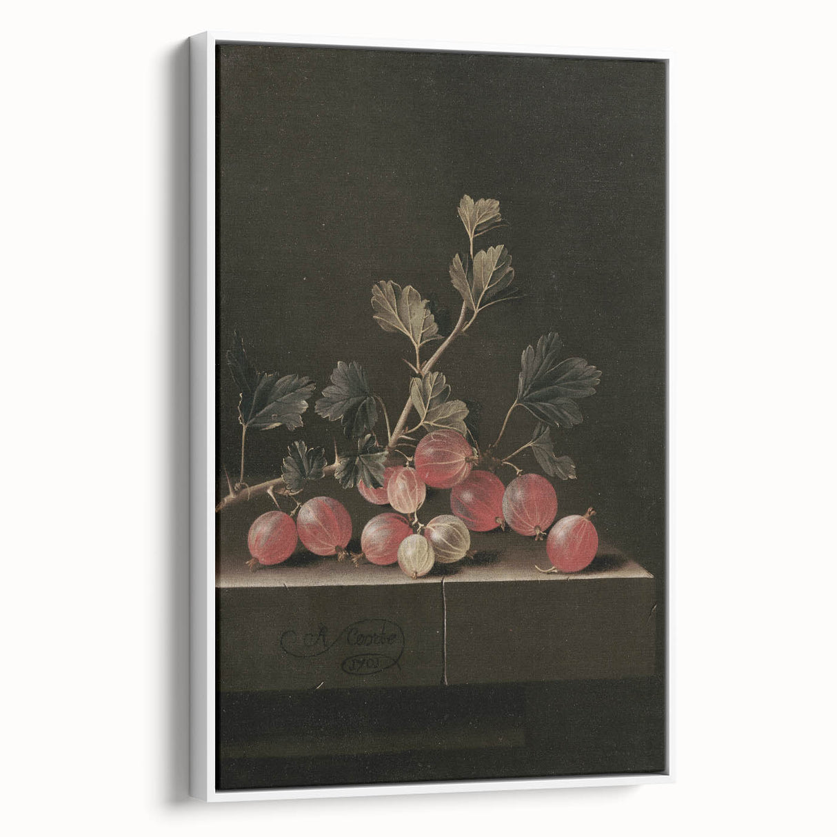 Moody Interior Art: Dark Gooseberry Still Life Print for Home Decor