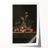 Moody Interior Art: Dark Gooseberry Still Life Print for Home Decor