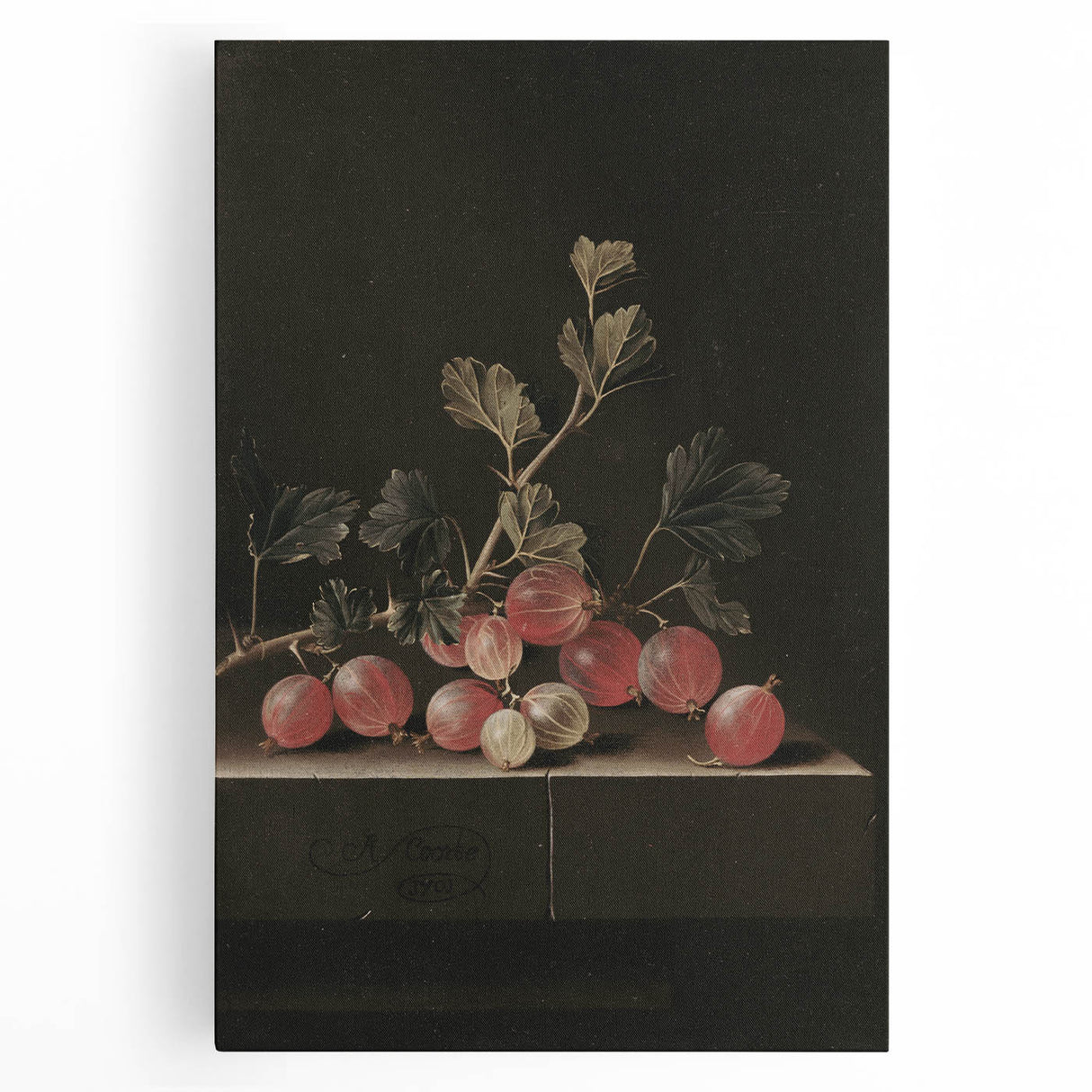 Moody Interior Art: Dark Gooseberry Still Life Print for Home Decor