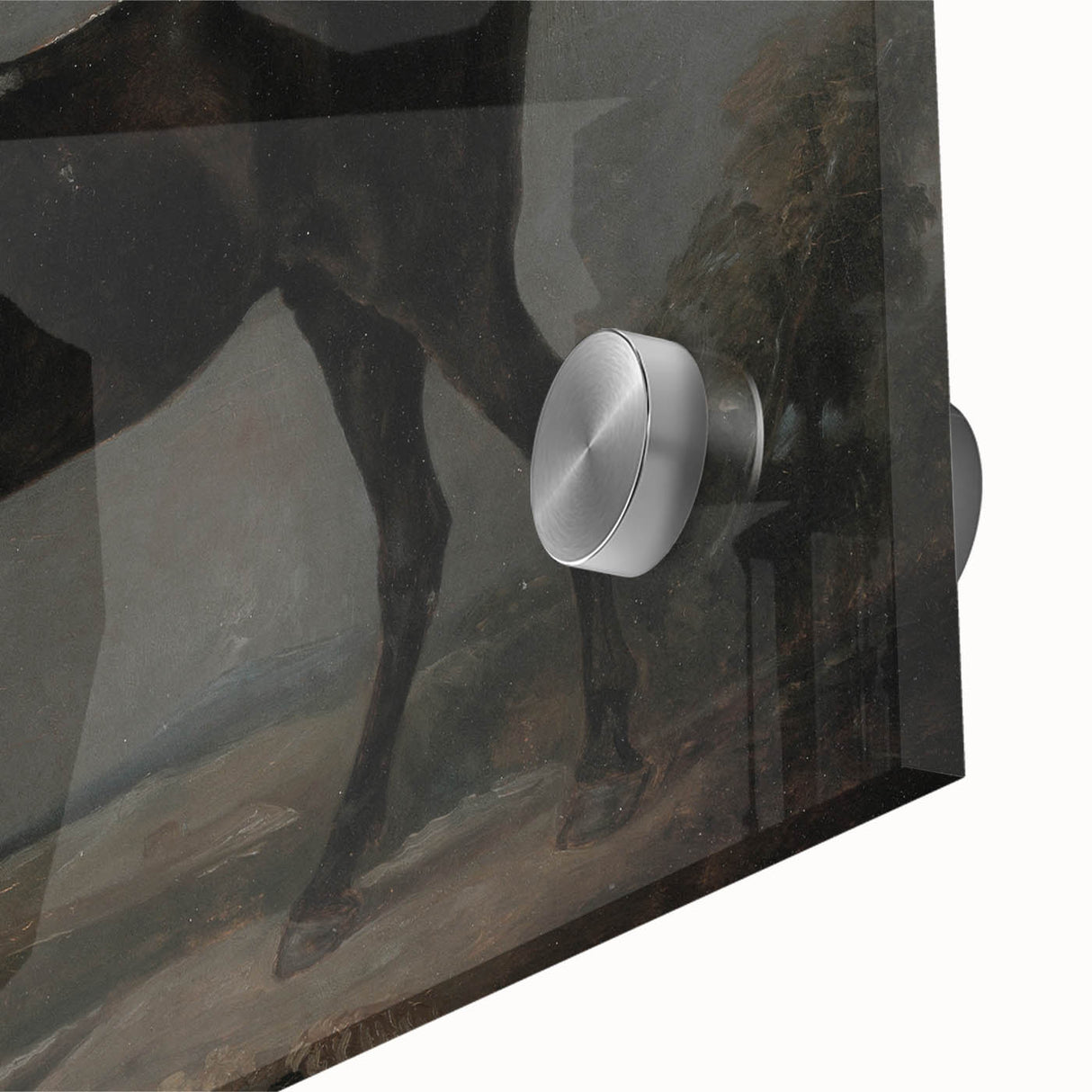 Moody Art Prints - Dark Horse Portrait for Timeless Wall Decor