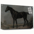 Moody Art Prints - Dark Horse Portrait for Timeless Wall Decor
