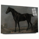 Moody Art Prints - Dark Horse Portrait for Timeless Wall Decor