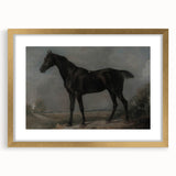 Moody Art Prints - Dark Horse Portrait for Timeless Wall Decor