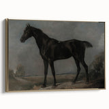 Moody Art Prints - Dark Horse Portrait for Timeless Wall Decor