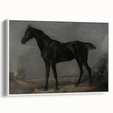Moody Art Prints - Dark Horse Portrait for Timeless Wall Decor