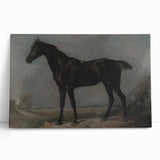 Moody Art Prints - Dark Horse Portrait for Timeless Wall Decor