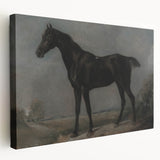 Moody Art Prints - Dark Horse Portrait for Timeless Wall Decor