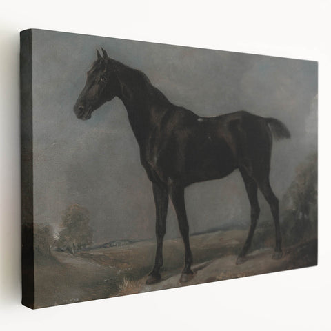 Moody Art Prints - Dark Horse Portrait for Timeless Wall Decor